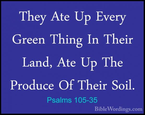 Psalms 105-35 - They Ate Up Every Green Thing In Their Land, AteThey Ate Up Every Green Thing In Their Land, Ate Up The Produce Of Their Soil. 