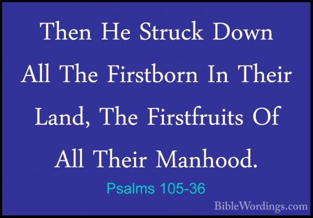 Psalms 105-36 - Then He Struck Down All The Firstborn In Their LaThen He Struck Down All The Firstborn In Their Land, The Firstfruits Of All Their Manhood. 