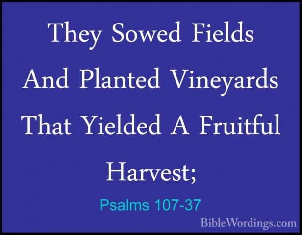 Psalms 107-37 - They Sowed Fields And Planted Vineyards That YielThey Sowed Fields And Planted Vineyards That Yielded A Fruitful Harvest; 