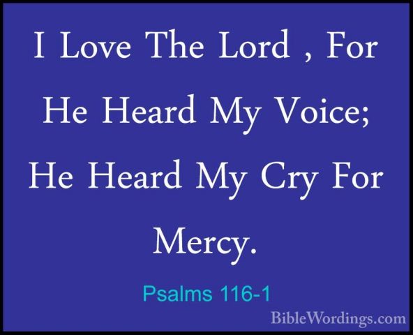 Psalms 116-1 - I Love The Lord , For He Heard My Voice; He HeardI Love The Lord , For He Heard My Voice; He Heard My Cry For Mercy. 