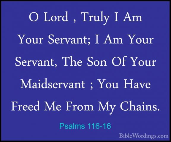 Psalms 116-16 - O Lord , Truly I Am Your Servant; I Am Your ServaO Lord , Truly I Am Your Servant; I Am Your Servant, The Son Of Your Maidservant ; You Have Freed Me From My Chains. 