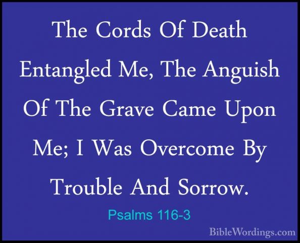 Psalms 116-3 - The Cords Of Death Entangled Me, The Anguish Of ThThe Cords Of Death Entangled Me, The Anguish Of The Grave Came Upon Me; I Was Overcome By Trouble And Sorrow. 