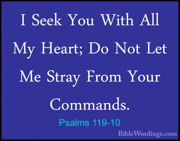 Psalms 119-10 - I Seek You With All My Heart; Do Not Let Me StrayI Seek You With All My Heart; Do Not Let Me Stray From Your Commands. 