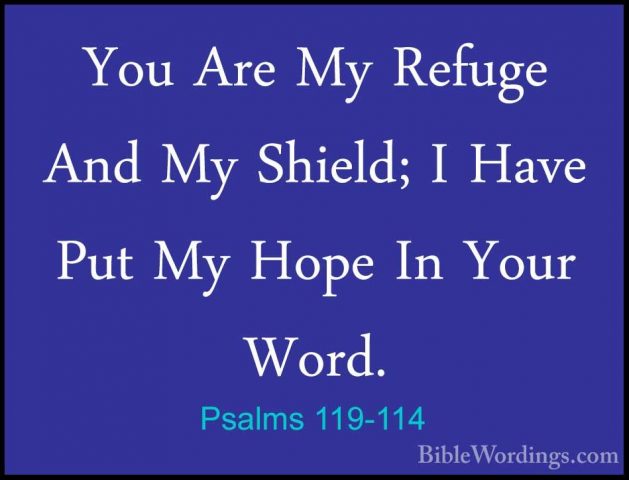 Psalms 119-114 - You Are My Refuge And My Shield; I Have Put My HYou Are My Refuge And My Shield; I Have Put My Hope In Your Word. 