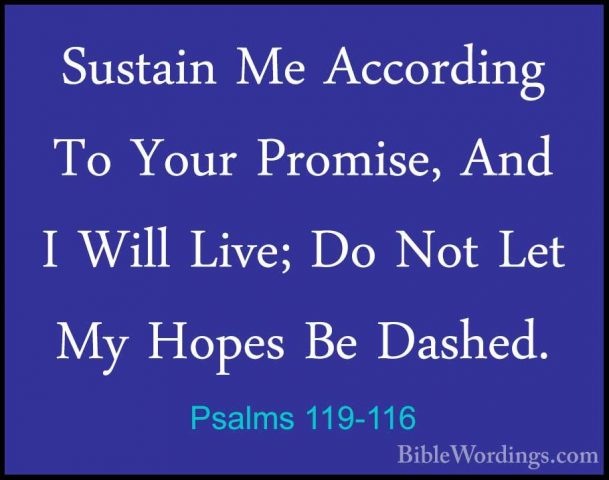 Psalms 119-116 - Sustain Me According To Your Promise, And I WillSustain Me According To Your Promise, And I Will Live; Do Not Let My Hopes Be Dashed. 