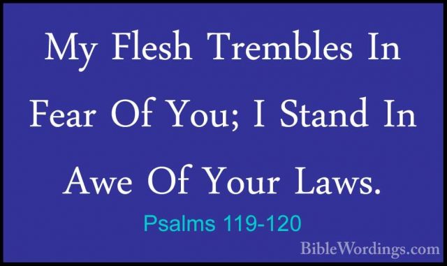 Psalms 119-120 - My Flesh Trembles In Fear Of You; I Stand In AweMy Flesh Trembles In Fear Of You; I Stand In Awe Of Your Laws. 