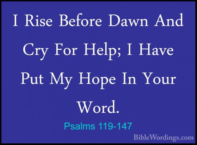 Psalms 119-147 - I Rise Before Dawn And Cry For Help; I Have PutI Rise Before Dawn And Cry For Help; I Have Put My Hope In Your Word. 