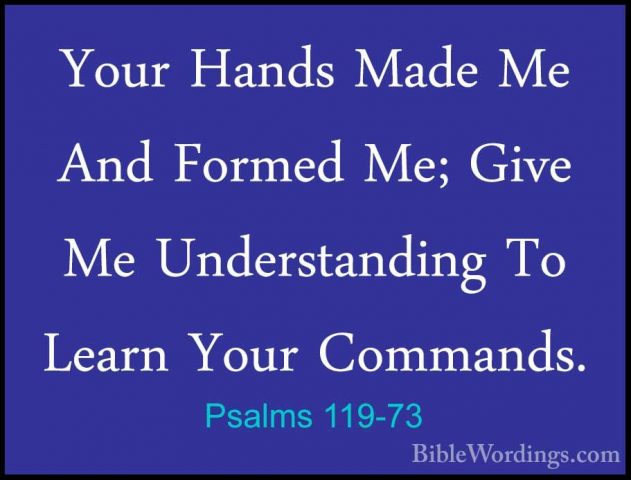 Psalms 119-73 - Your Hands Made Me And Formed Me; Give Me UnderstYour Hands Made Me And Formed Me; Give Me Understanding To Learn Your Commands. 