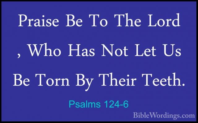 Psalms 124-6 - Praise Be To The Lord , Who Has Not Let Us Be TornPraise Be To The Lord , Who Has Not Let Us Be Torn By Their Teeth. 