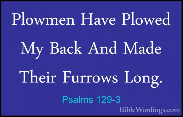 Psalms 129-3 - Plowmen Have Plowed My Back And Made Their FurrowsPlowmen Have Plowed My Back And Made Their Furrows Long. 