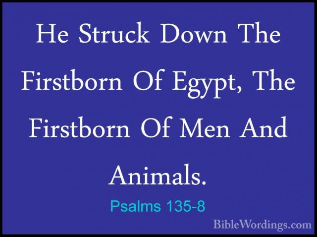 Psalms 135-8 - He Struck Down The Firstborn Of Egypt, The FirstboHe Struck Down The Firstborn Of Egypt, The Firstborn Of Men And Animals. 