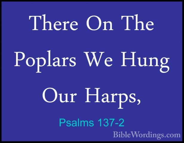 Psalms 137-2 - There On The Poplars We Hung Our Harps,There On The Poplars We Hung Our Harps, 