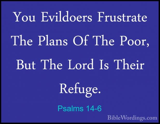 Psalms 14-6 - You Evildoers Frustrate The Plans Of The Poor, ButYou Evildoers Frustrate The Plans Of The Poor, But The Lord Is Their Refuge. 