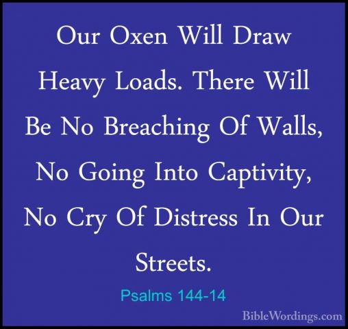Psalms 144-14 - Our Oxen Will Draw Heavy Loads. There Will Be NoOur Oxen Will Draw Heavy Loads. There Will Be No Breaching Of Walls, No Going Into Captivity, No Cry Of Distress In Our Streets. 