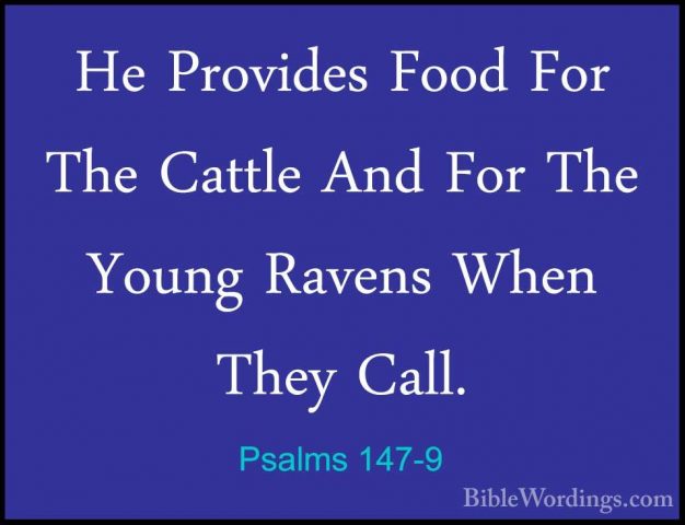 Psalms 147-9 - He Provides Food For The Cattle And For The YoungHe Provides Food For The Cattle And For The Young Ravens When They Call. 