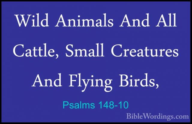 Psalms 148-10 - Wild Animals And All Cattle, Small Creatures AndWild Animals And All Cattle, Small Creatures And Flying Birds, 