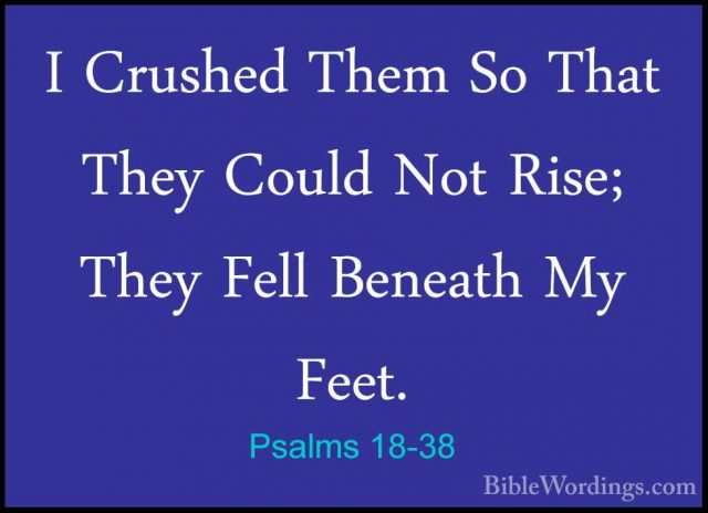 Psalms 18-38 - I Crushed Them So That They Could Not Rise; They FI Crushed Them So That They Could Not Rise; They Fell Beneath My Feet. 