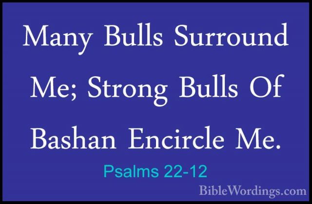 Psalms 22-12 - Many Bulls Surround Me; Strong Bulls Of Bashan EncMany Bulls Surround Me; Strong Bulls Of Bashan Encircle Me. 