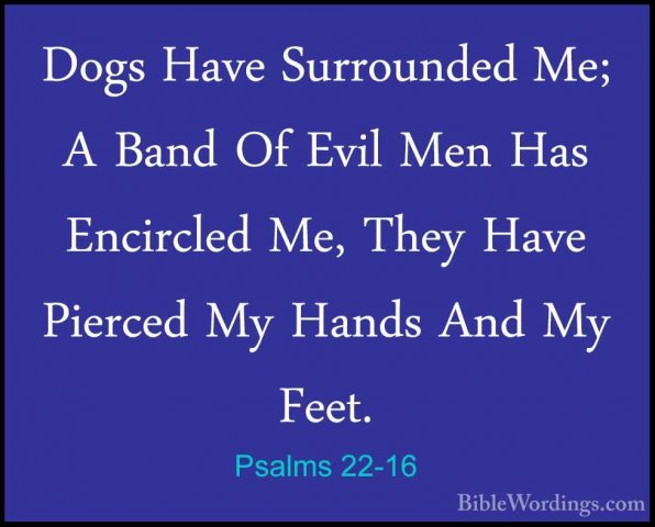 Psalms 22-16 - Dogs Have Surrounded Me; A Band Of Evil Men Has EnDogs Have Surrounded Me; A Band Of Evil Men Has Encircled Me, They Have Pierced My Hands And My Feet. 