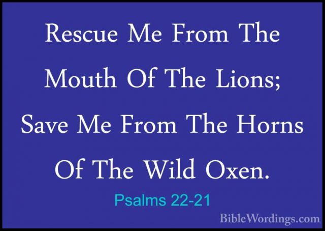 Psalms 22-21 - Rescue Me From The Mouth Of The Lions; Save Me FroRescue Me From The Mouth Of The Lions; Save Me From The Horns Of The Wild Oxen. 