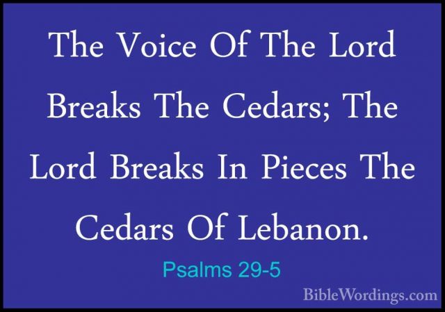 Psalms 29-5 - The Voice Of The Lord Breaks The Cedars; The Lord BThe Voice Of The Lord Breaks The Cedars; The Lord Breaks In Pieces The Cedars Of Lebanon. 