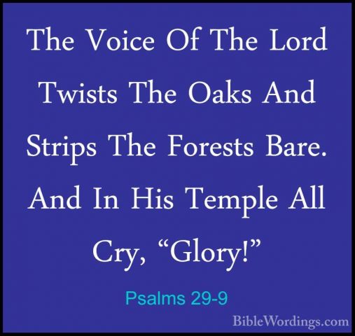 Psalms 29-9 - The Voice Of The Lord Twists The Oaks And Strips ThThe Voice Of The Lord Twists The Oaks And Strips The Forests Bare. And In His Temple All Cry, "Glory!" 