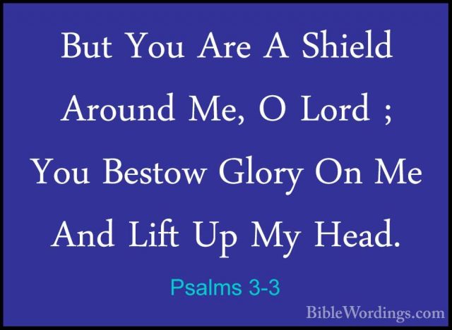 Psalms 3-3 - But You Are A Shield Around Me, O Lord ; You BestowBut You Are A Shield Around Me, O Lord ; You Bestow Glory On Me And Lift Up My Head. 