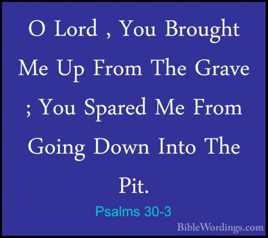 Psalms 30-3 - O Lord , You Brought Me Up From The Grave ; You SpaO Lord , You Brought Me Up From The Grave ; You Spared Me From Going Down Into The Pit. 