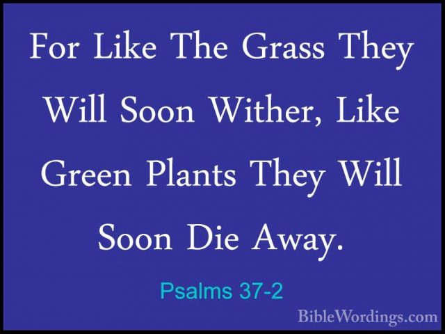 Psalms 37-2 - For Like The Grass They Will Soon Wither, Like GreeFor Like The Grass They Will Soon Wither, Like Green Plants They Will Soon Die Away. 