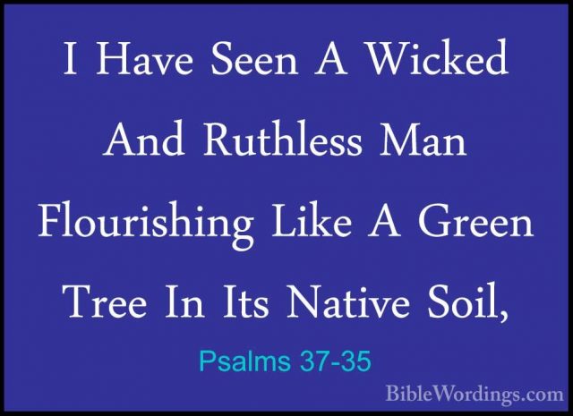 Psalms 37-35 - I Have Seen A Wicked And Ruthless Man FlourishingI Have Seen A Wicked And Ruthless Man Flourishing Like A Green Tree In Its Native Soil, 