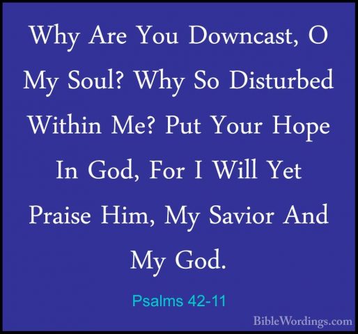 Psalms 42-11 - Why Are You Downcast, O My Soul? Why So DisturbedWhy Are You Downcast, O My Soul? Why So Disturbed Within Me? Put Your Hope In God, For I Will Yet Praise Him, My Savior And My God.