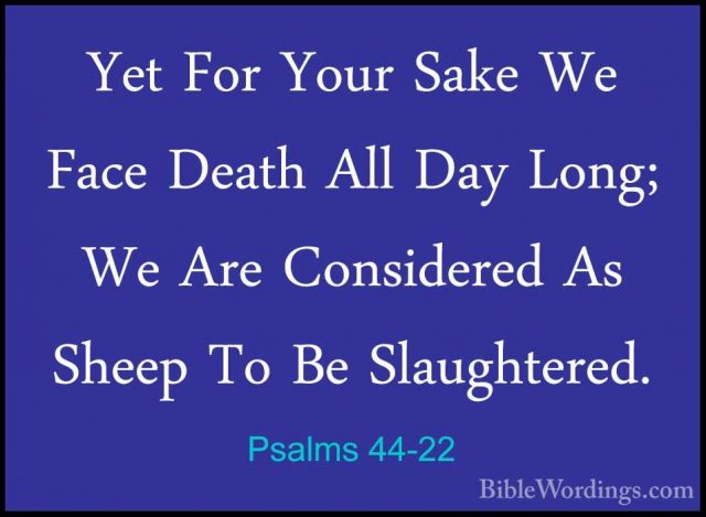 Psalms 44-22 - Yet For Your Sake We Face Death All Day Long; We AYet For Your Sake We Face Death All Day Long; We Are Considered As Sheep To Be Slaughtered. 