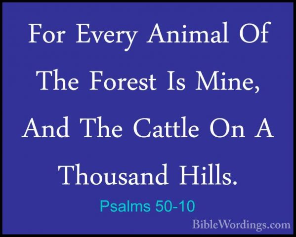 Psalms 50-10 - For Every Animal Of The Forest Is Mine, And The CaFor Every Animal Of The Forest Is Mine, And The Cattle On A Thousand Hills. 