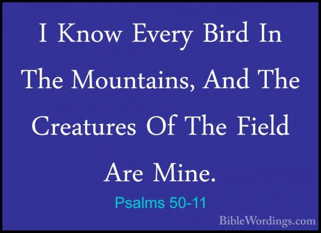 Psalms 50-11 - I Know Every Bird In The Mountains, And The CreatuI Know Every Bird In The Mountains, And The Creatures Of The Field Are Mine. 