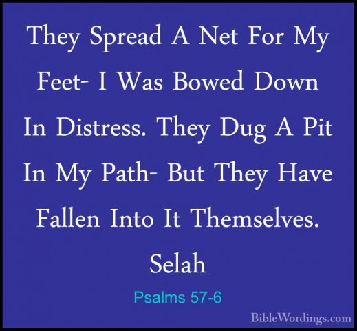 Psalms 57-6 - They Spread A Net For My Feet- I Was Bowed Down InThey Spread A Net For My Feet- I Was Bowed Down In Distress. They Dug A Pit In My Path- But They Have Fallen Into It Themselves. Selah 