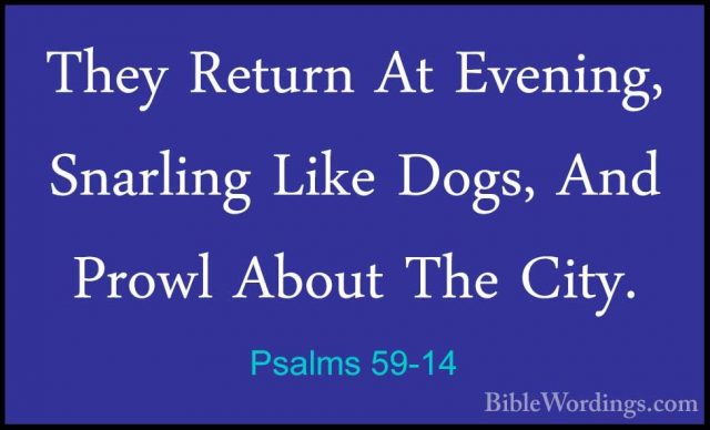 Psalms 59-14 - They Return At Evening, Snarling Like Dogs, And PrThey Return At Evening, Snarling Like Dogs, And Prowl About The City. 