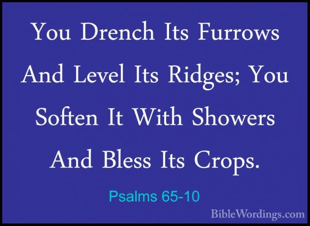 Psalms 65-10 - You Drench Its Furrows And Level Its Ridges; You SYou Drench Its Furrows And Level Its Ridges; You Soften It With Showers And Bless Its Crops. 