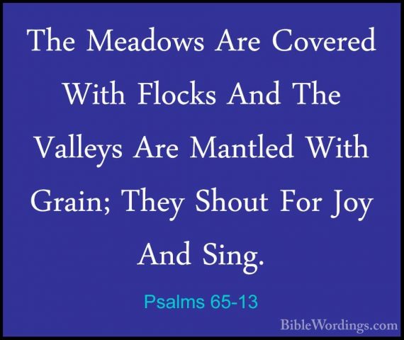 Psalms 65-13 - The Meadows Are Covered With Flocks And The ValleyThe Meadows Are Covered With Flocks And The Valleys Are Mantled With Grain; They Shout For Joy And Sing.