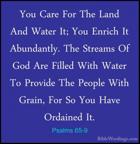 Psalms 65-9 - You Care For The Land And Water It; You Enrich It AYou Care For The Land And Water It; You Enrich It Abundantly. The Streams Of God Are Filled With Water To Provide The People With Grain, For So You Have Ordained It. 