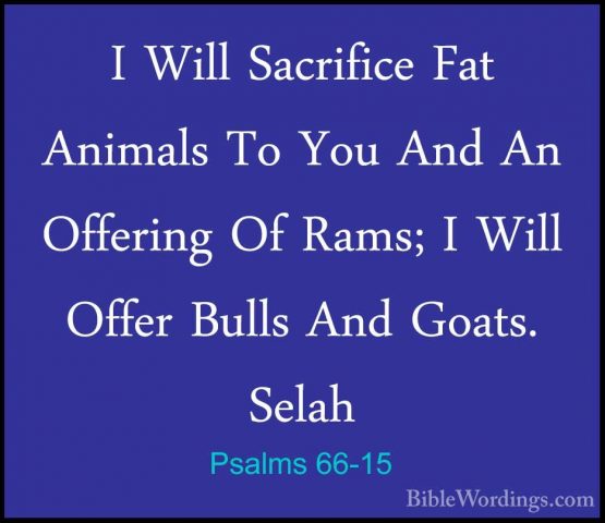 Psalms 66-15 - I Will Sacrifice Fat Animals To You And An OfferinI Will Sacrifice Fat Animals To You And An Offering Of Rams; I Will Offer Bulls And Goats. Selah 