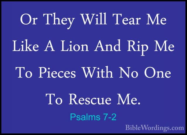 Psalms 7-2 - Or They Will Tear Me Like A Lion And Rip Me To PieceOr They Will Tear Me Like A Lion And Rip Me To Pieces With No One To Rescue Me. 