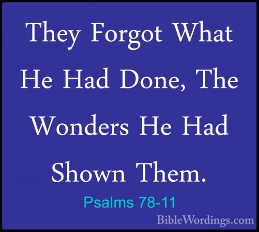 Psalms 78-11 - They Forgot What He Had Done, The Wonders He Had SThey Forgot What He Had Done, The Wonders He Had Shown Them. 