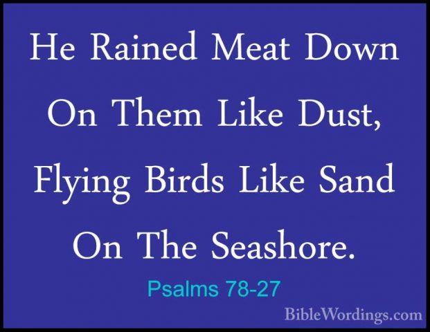 Psalms 78-27 - He Rained Meat Down On Them Like Dust, Flying BirdHe Rained Meat Down On Them Like Dust, Flying Birds Like Sand On The Seashore. 