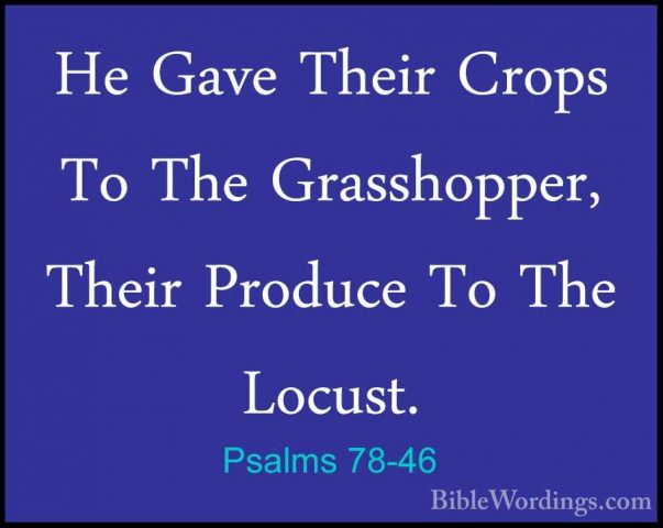 Psalms 78-46 - He Gave Their Crops To The Grasshopper, Their ProdHe Gave Their Crops To The Grasshopper, Their Produce To The Locust. 