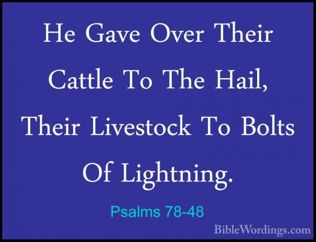 Psalms 78-48 - He Gave Over Their Cattle To The Hail, Their LivesHe Gave Over Their Cattle To The Hail, Their Livestock To Bolts Of Lightning. 
