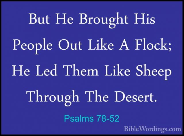 Psalms 78-52 - But He Brought His People Out Like A Flock; He LedBut He Brought His People Out Like A Flock; He Led Them Like Sheep Through The Desert. 