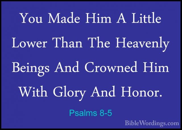 Psalms 8-5 - You Made Him A Little Lower Than The Heavenly BeingsYou Made Him A Little Lower Than The Heavenly Beings And Crowned Him With Glory And Honor. 