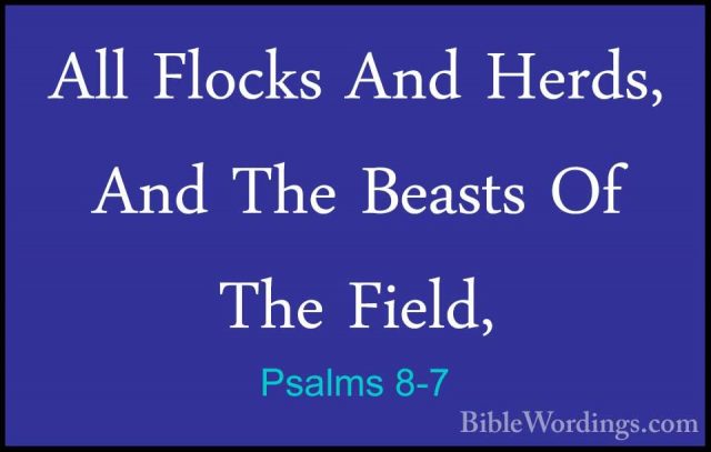 Psalms 8-7 - All Flocks And Herds, And The Beasts Of The Field,All Flocks And Herds, And The Beasts Of The Field, 