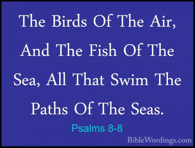 Psalms 8-8 - The Birds Of The Air, And The Fish Of The Sea, All TThe Birds Of The Air, And The Fish Of The Sea, All That Swim The Paths Of The Seas. 