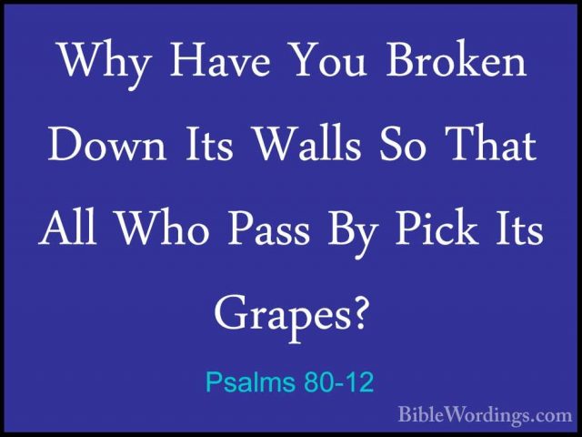 Psalms 80-12 - Why Have You Broken Down Its Walls So That All WhoWhy Have You Broken Down Its Walls So That All Who Pass By Pick Its Grapes? 